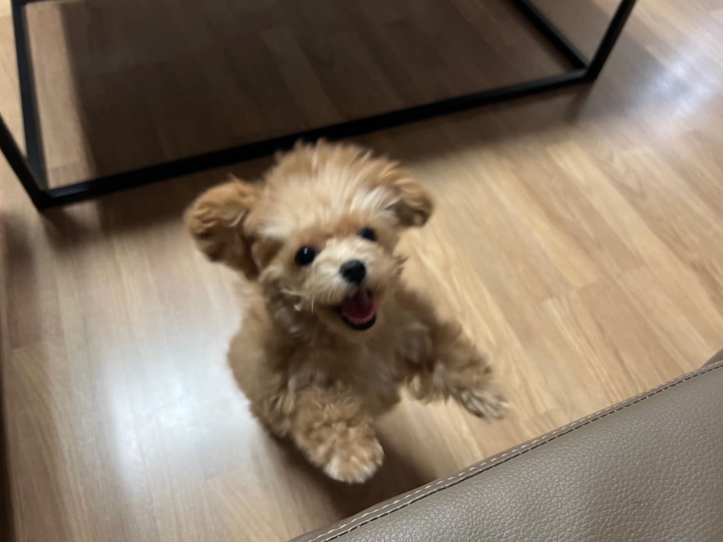 KakaoTalk_20260110_140355649_06.jpg