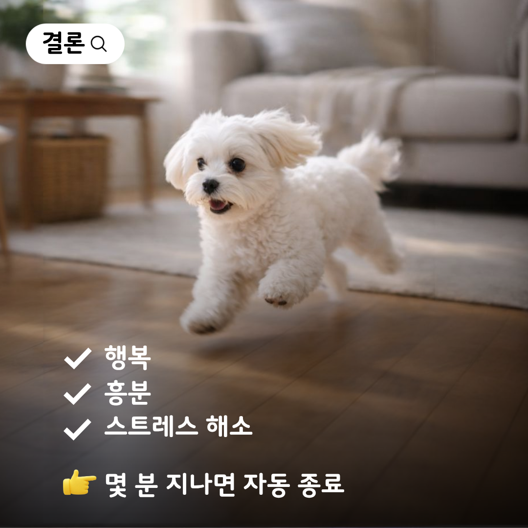 제목을 입력해주세요. (6).png