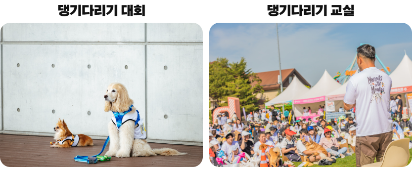 화면 캡처 2026-02-19 182558.png