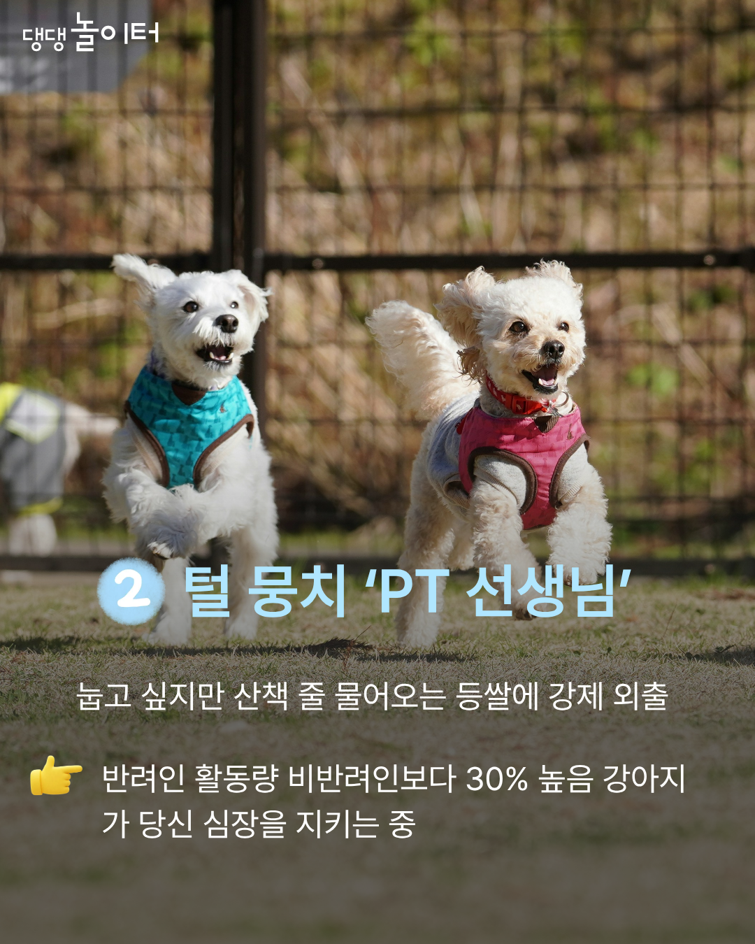 IMG_4118.png