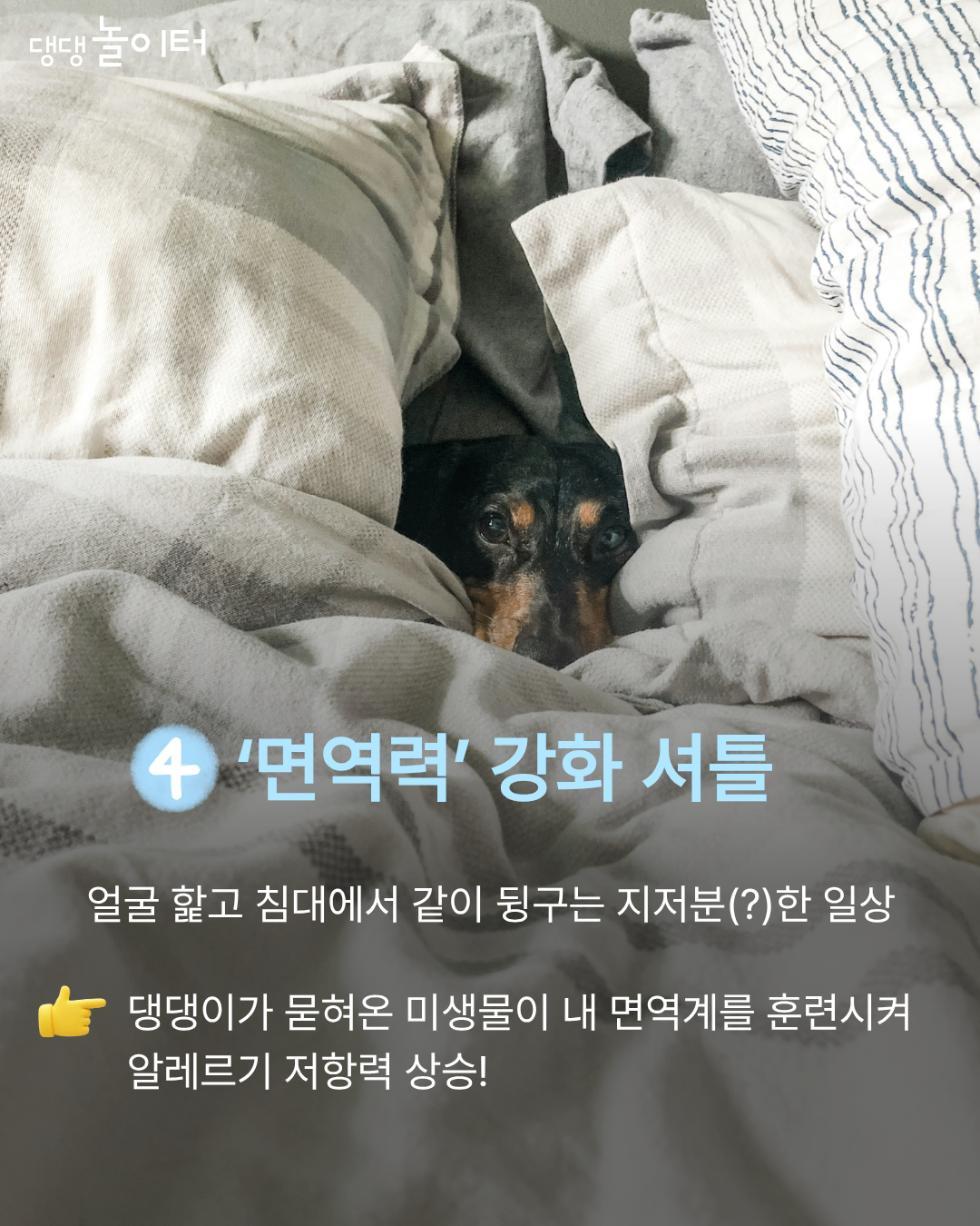 IMG_4120.png