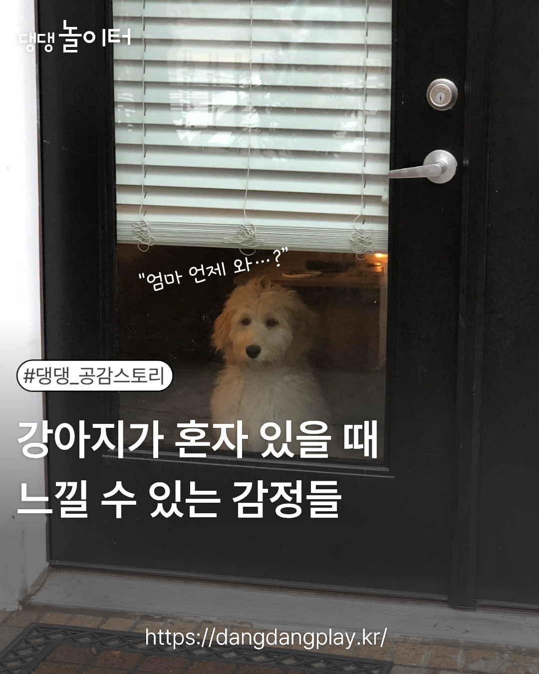 KakaoTalk_20260307_223822755_01.png