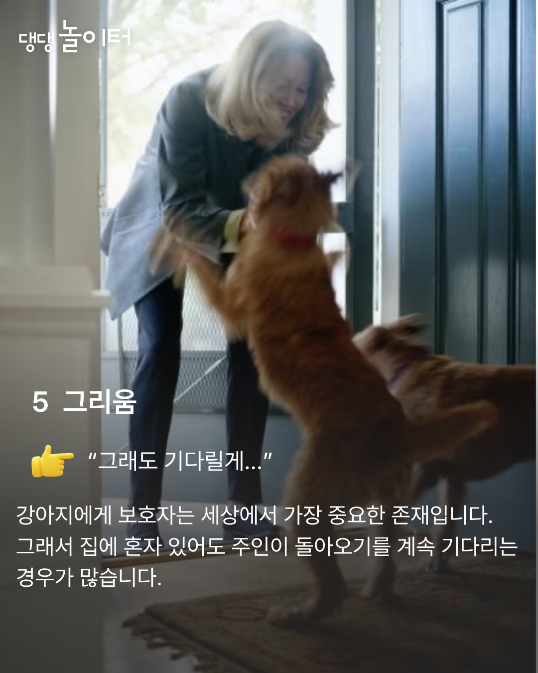 KakaoTalk_20260307_223822755_06.png