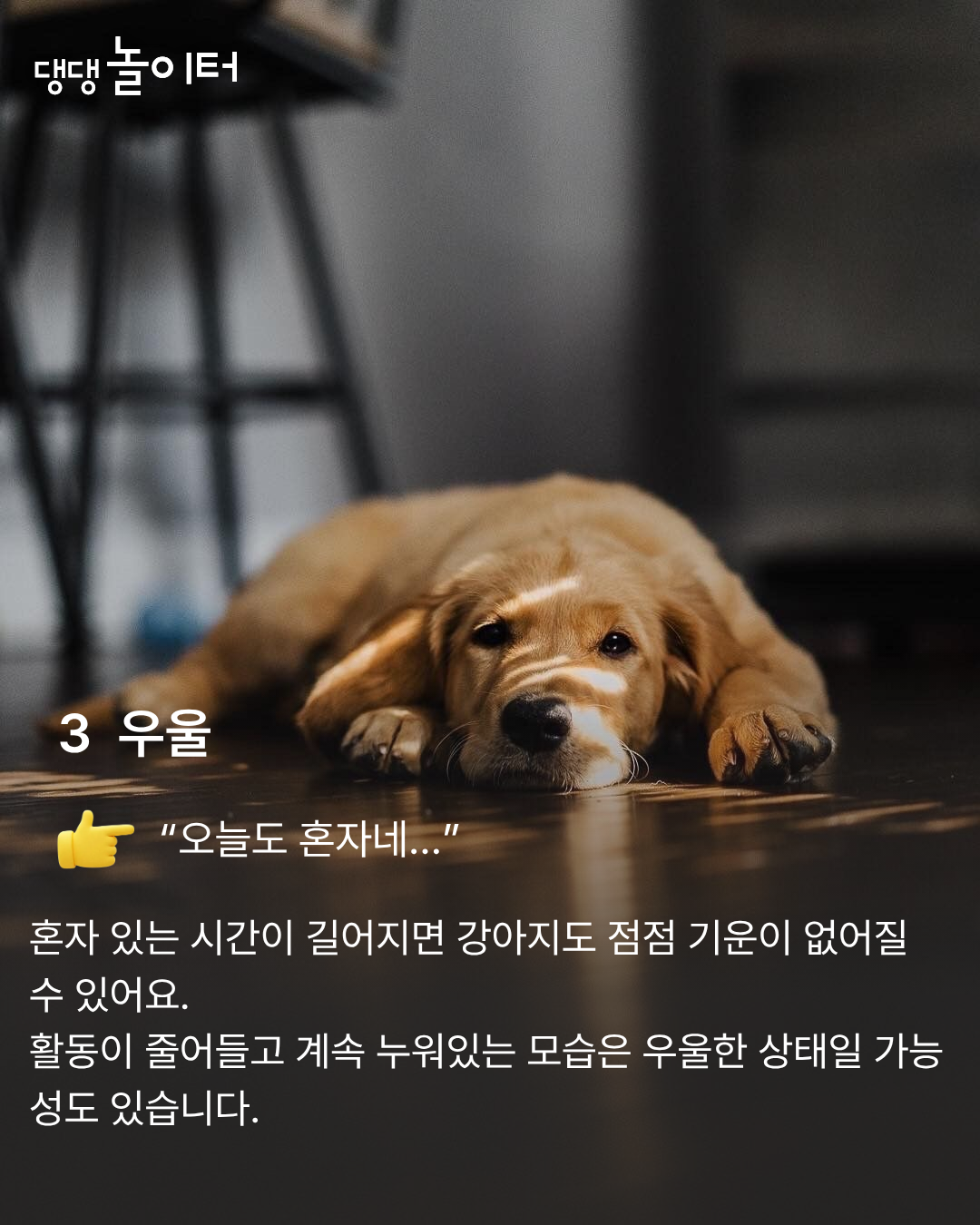 KakaoTalk_20260307_223822755_04.png