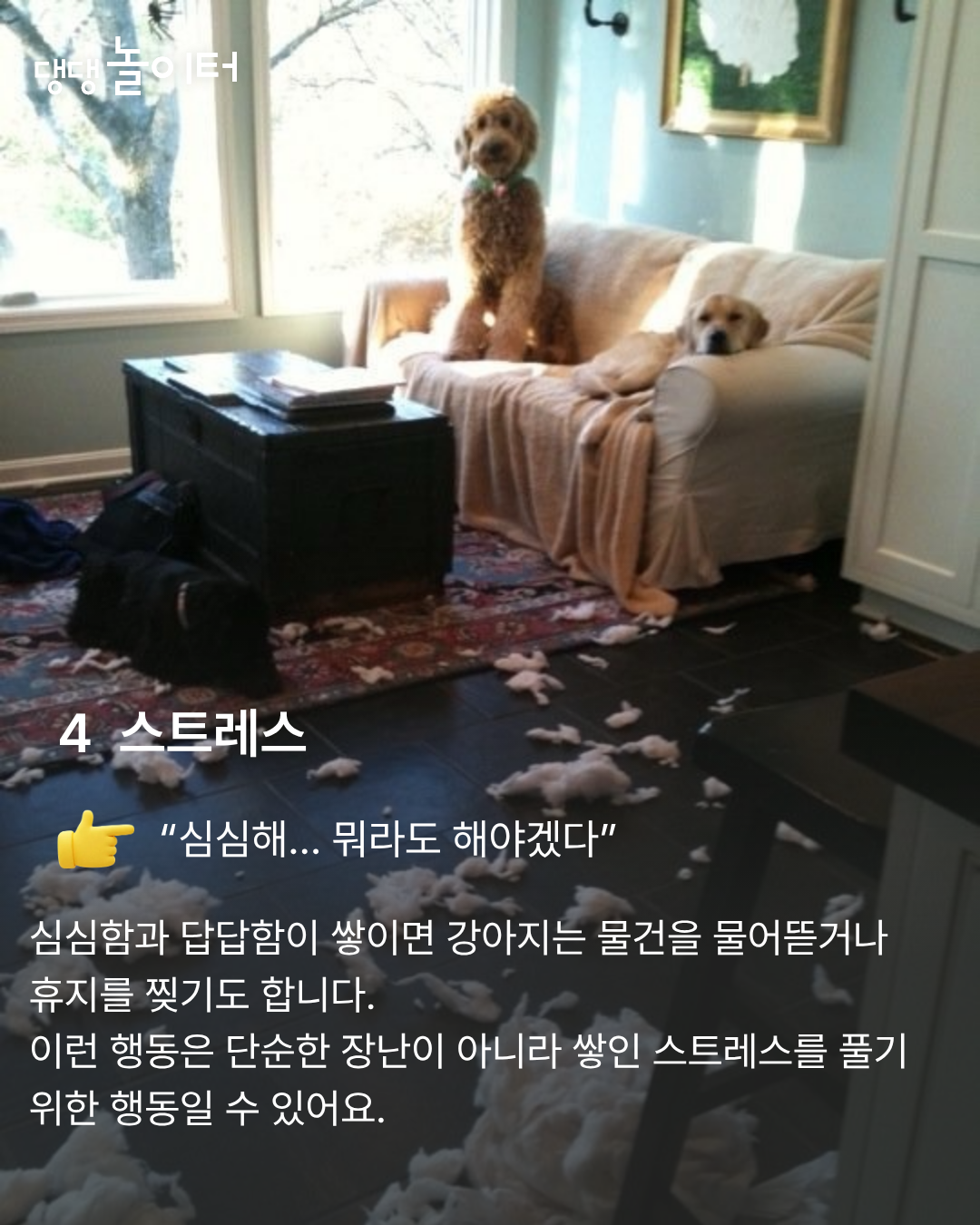KakaoTalk_20260307_223822755_05.png