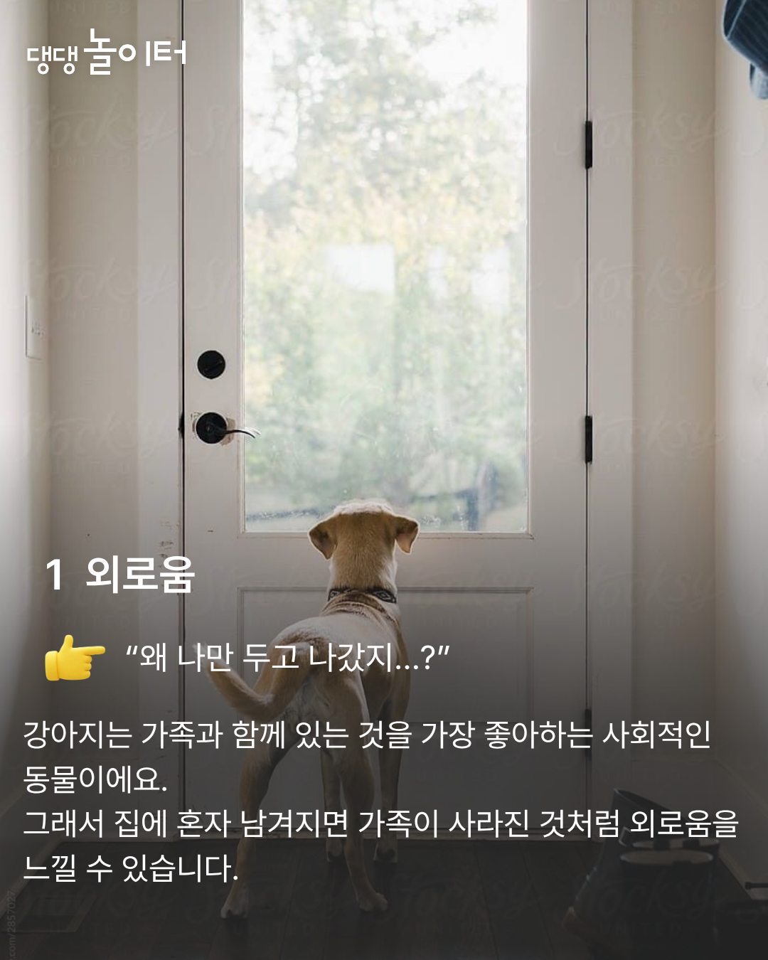 KakaoTalk_20260307_223822755_02.png