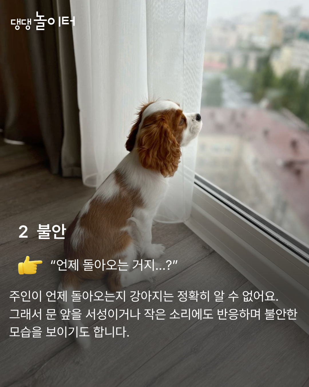 KakaoTalk_20260307_223822755_03.png