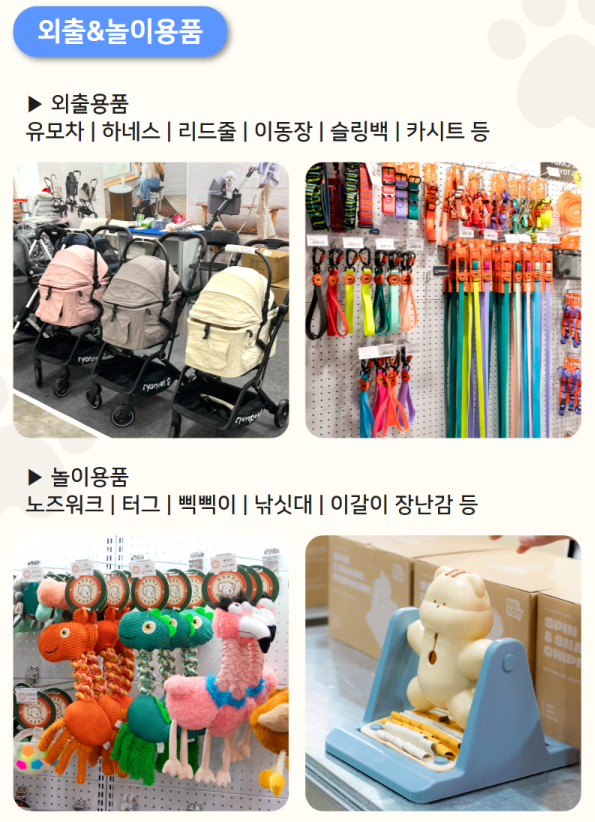 화면 캡처 2026-03-08 115311.png