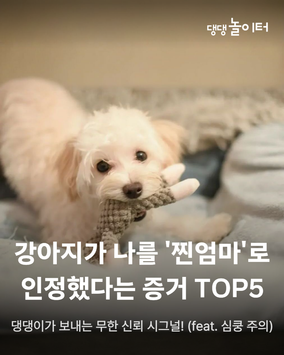 6b0f50cbce471fd3e05e3833f4c5570f (1).png
