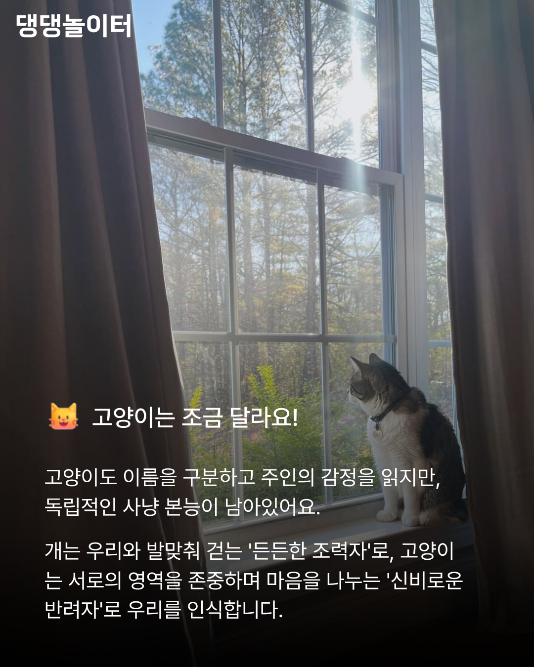 IMG_4940.png