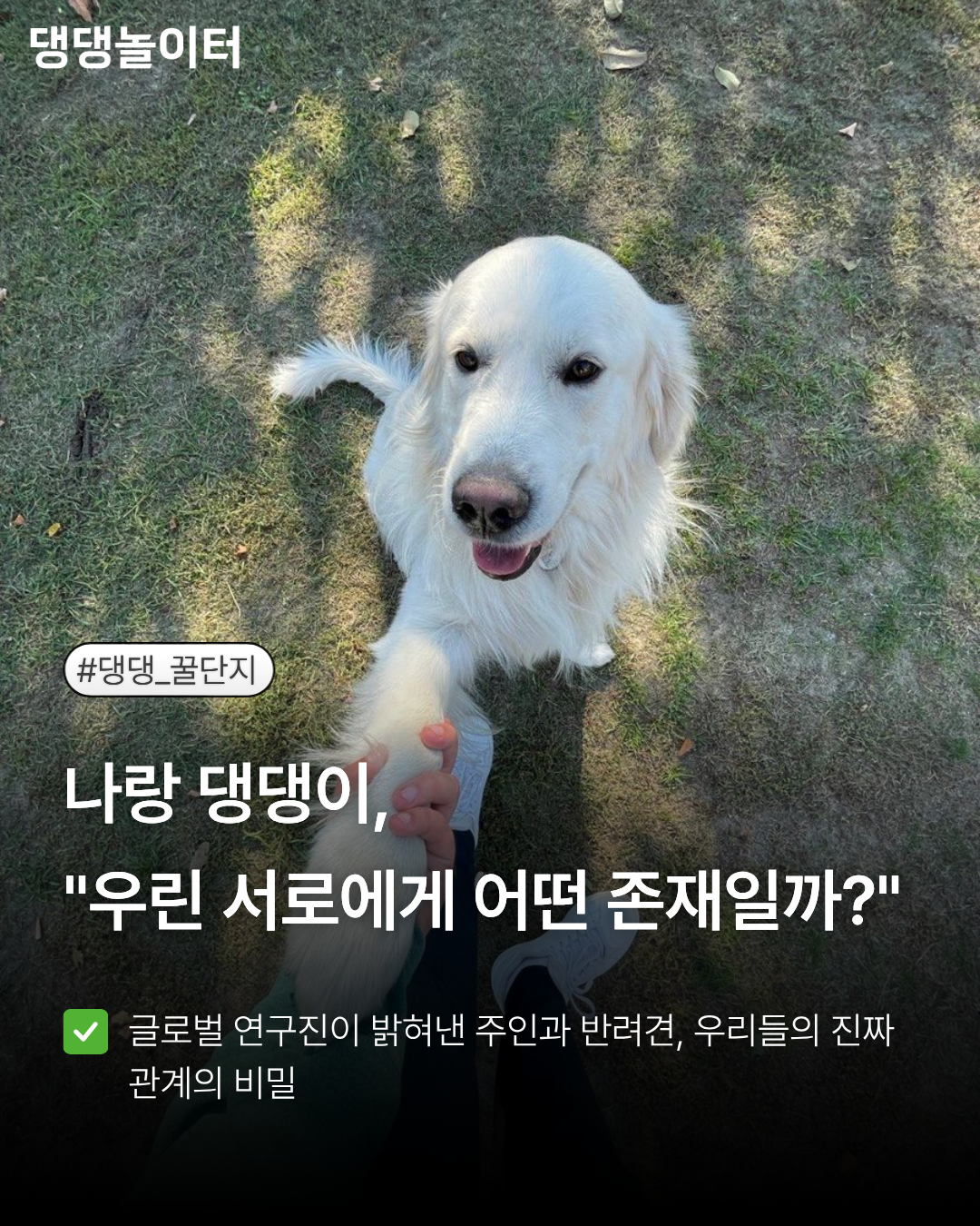 IMG_4934.png
