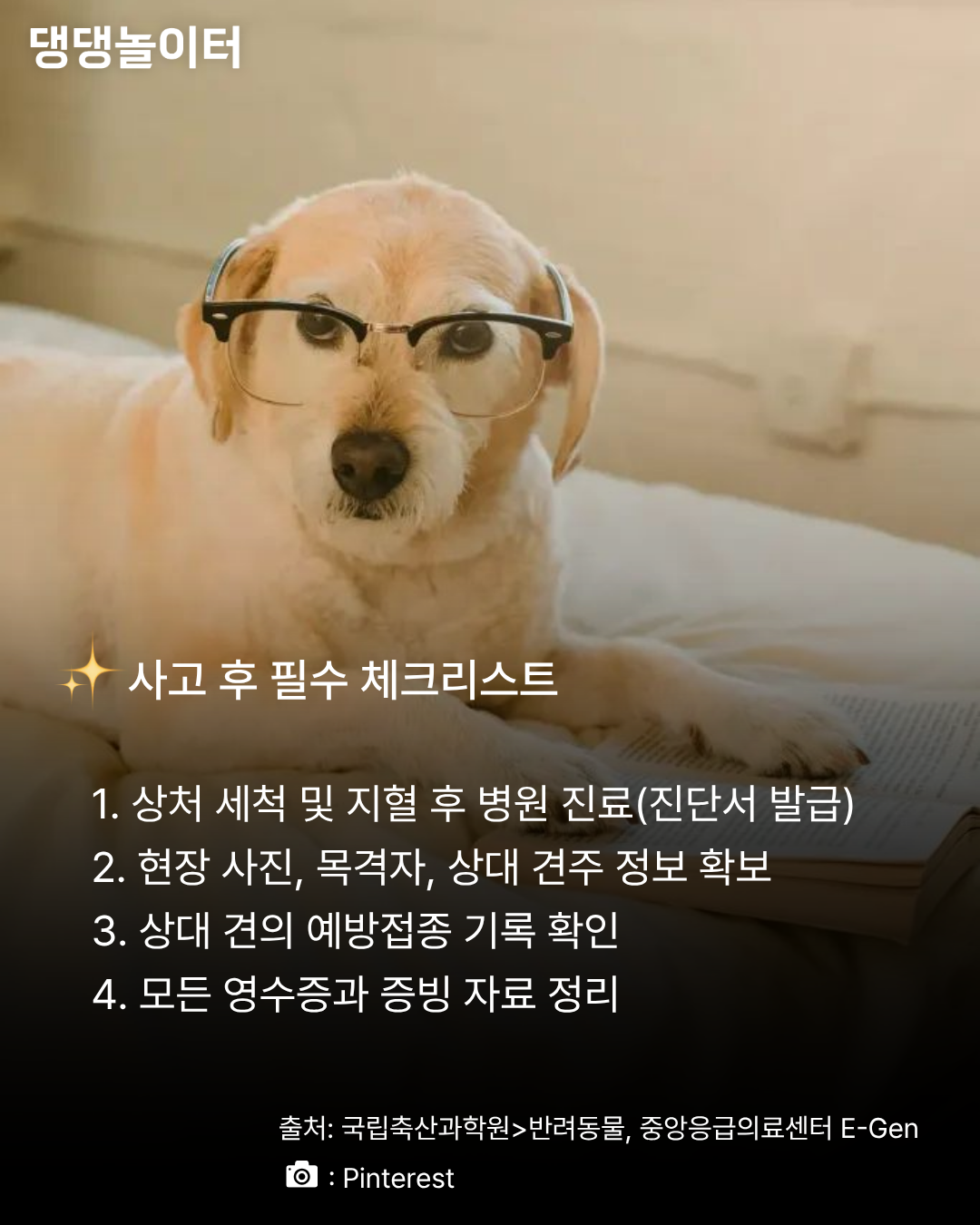 개물림사고 카드뉴스8.png