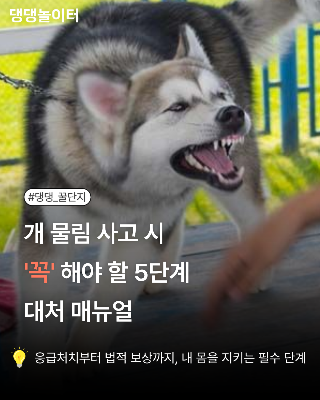 개물림사고 카드뉴스1.png