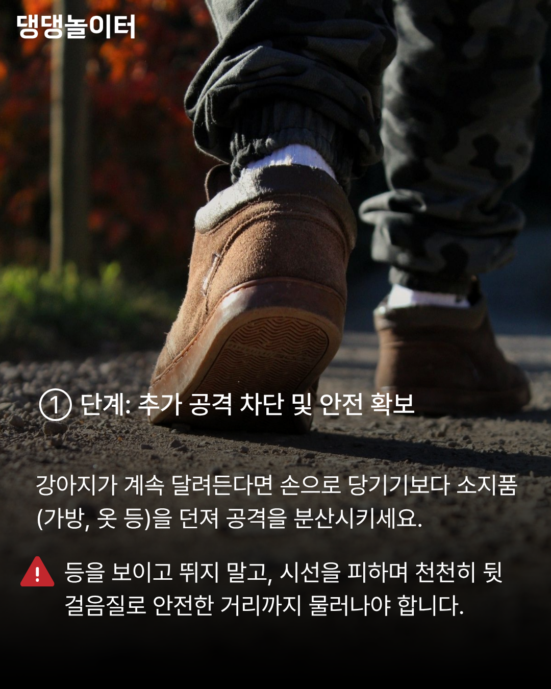 개물림사고 카드뉴스2.png