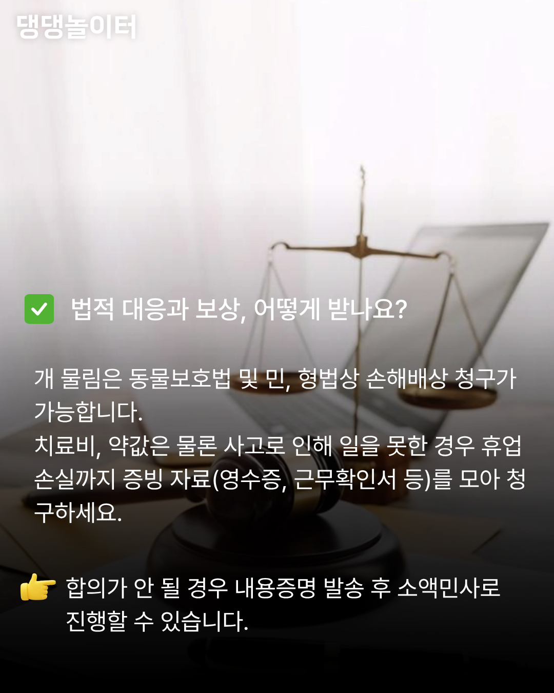 개물림사고 카드뉴스7.png
