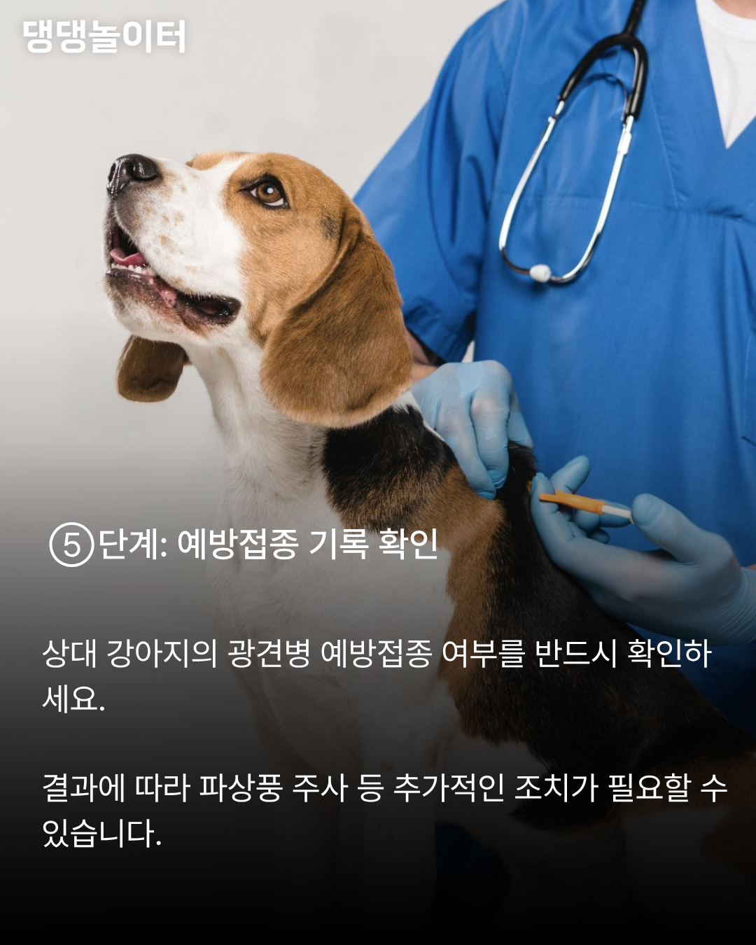 개물림사고 카드뉴스6.png