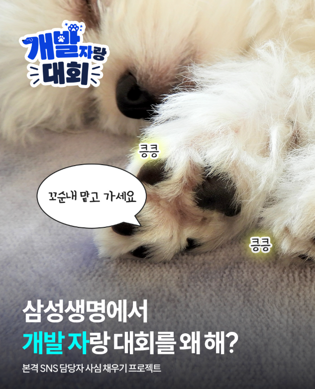 화면 캡처 2026-04-24 230110.png