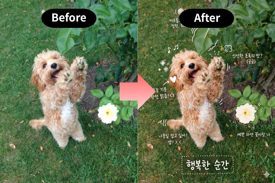 강아지 AI 비포 애프터.png