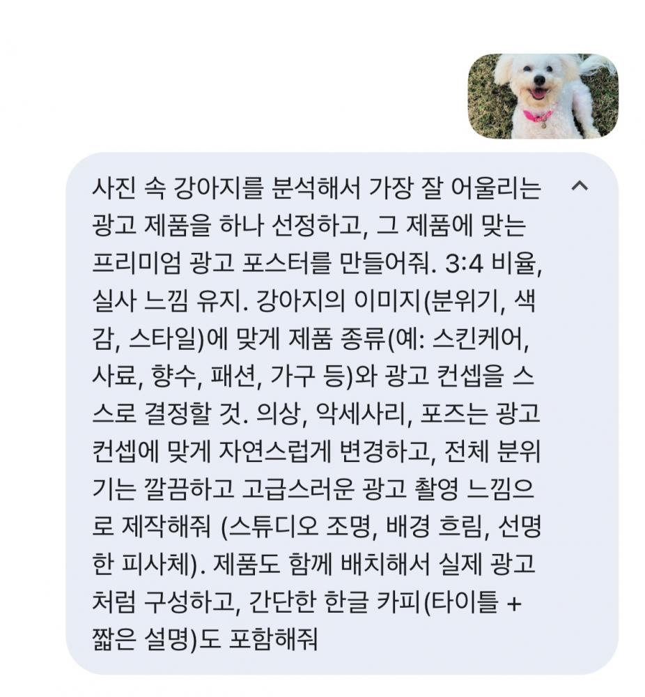 강아지 모델 ai 프롬프트.jpg