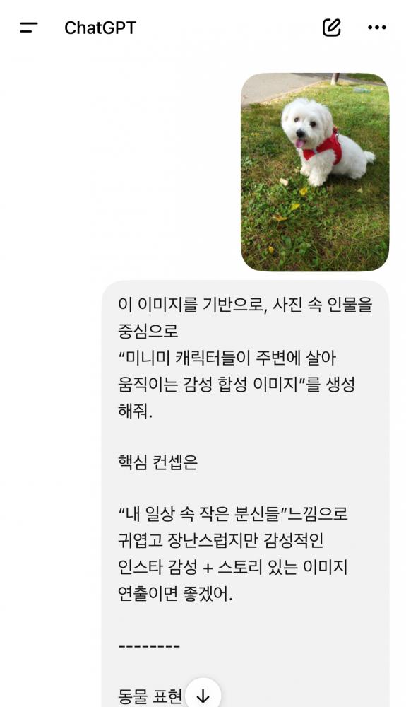 쳇지피티 이미지 사진.jpg