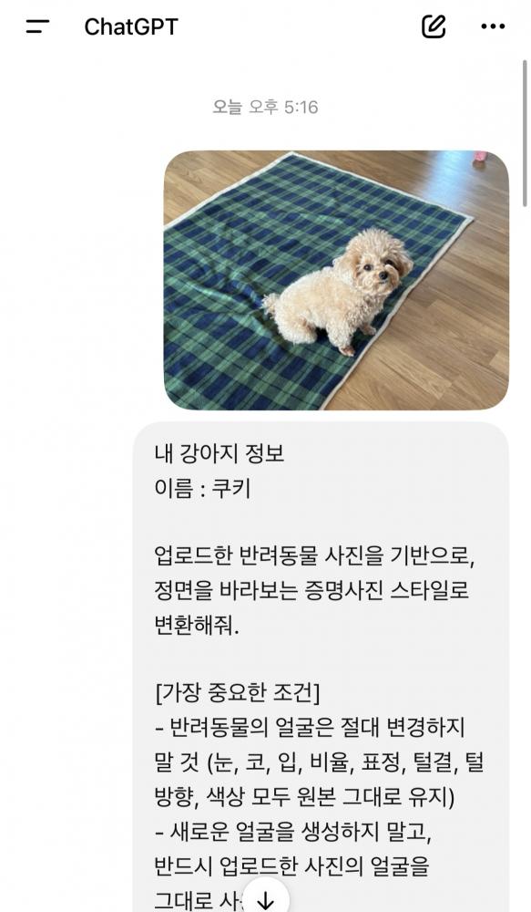 KakaoTalk_20260506_220706616.jpg