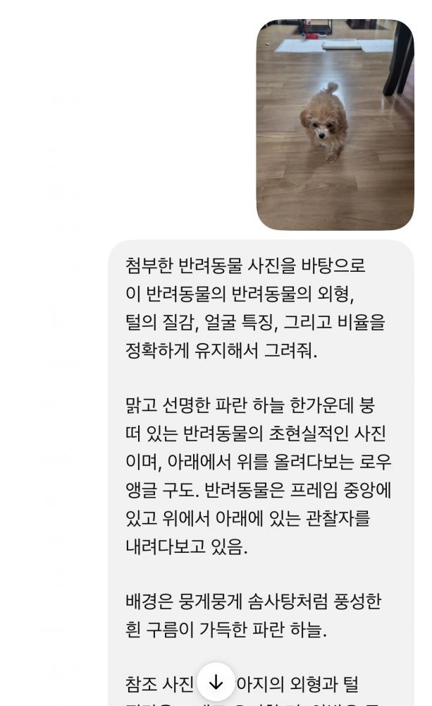 공중샷 강아지 채팅.jpg
