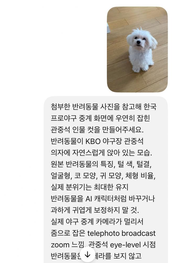 KakaoTalk_20260515_162949494.jpg