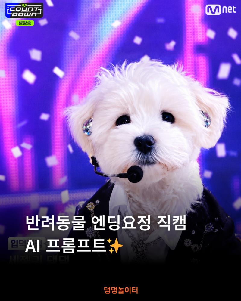 반려동물 엔딩요정 직캠 .png.jpg