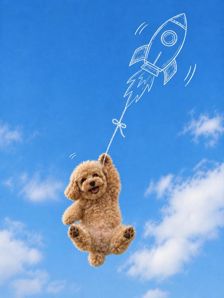 KakaoTalk_20260528_133524275_01.png.jpg
