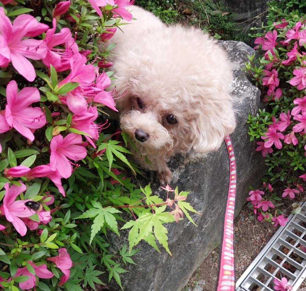 KakaoTalk_20260524_183628199.jpg