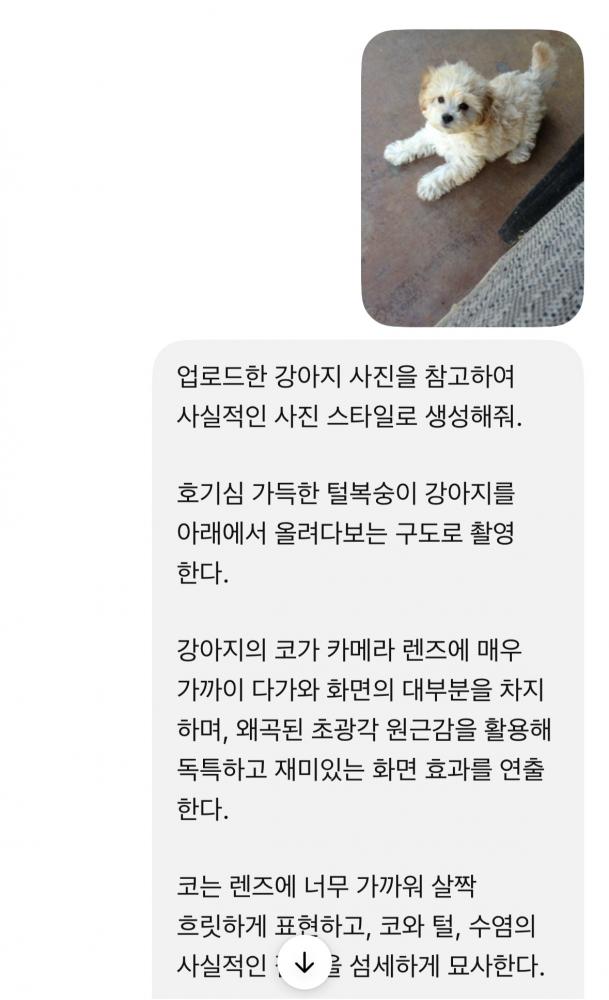 KakaoTalk_20260531_140712443.jpg