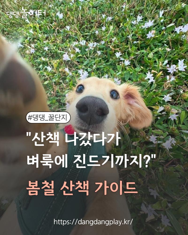 a9182ed7-8c3f-49f3-ae64-d6b98d257dbb.png.jpg