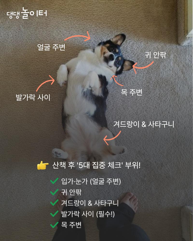 0791d2ab-3336-41d4-8e47-9a2fa2cf01bf.png.jpg