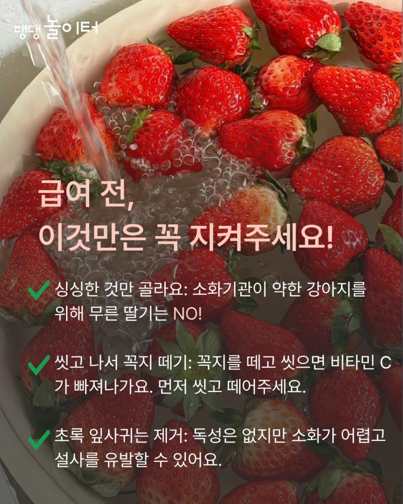 69f68b59d6e1a1c73d3a22a3374d295e.png.jpg