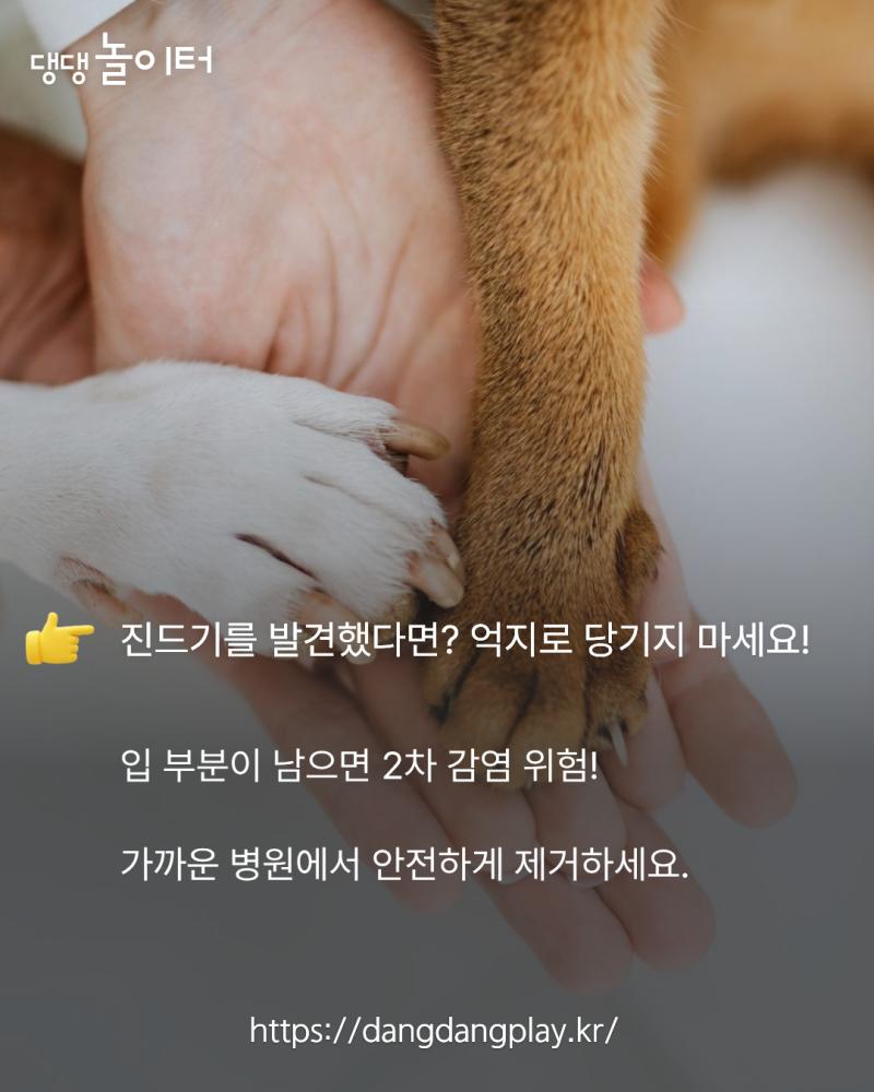 5ac80b4e-bff9-4af4-830b-2d39e8b480d1.png.jpg