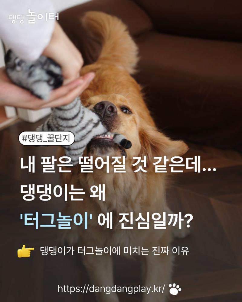 9212ee9e2c6675c316c7c7ec145b36ae.png.jpg