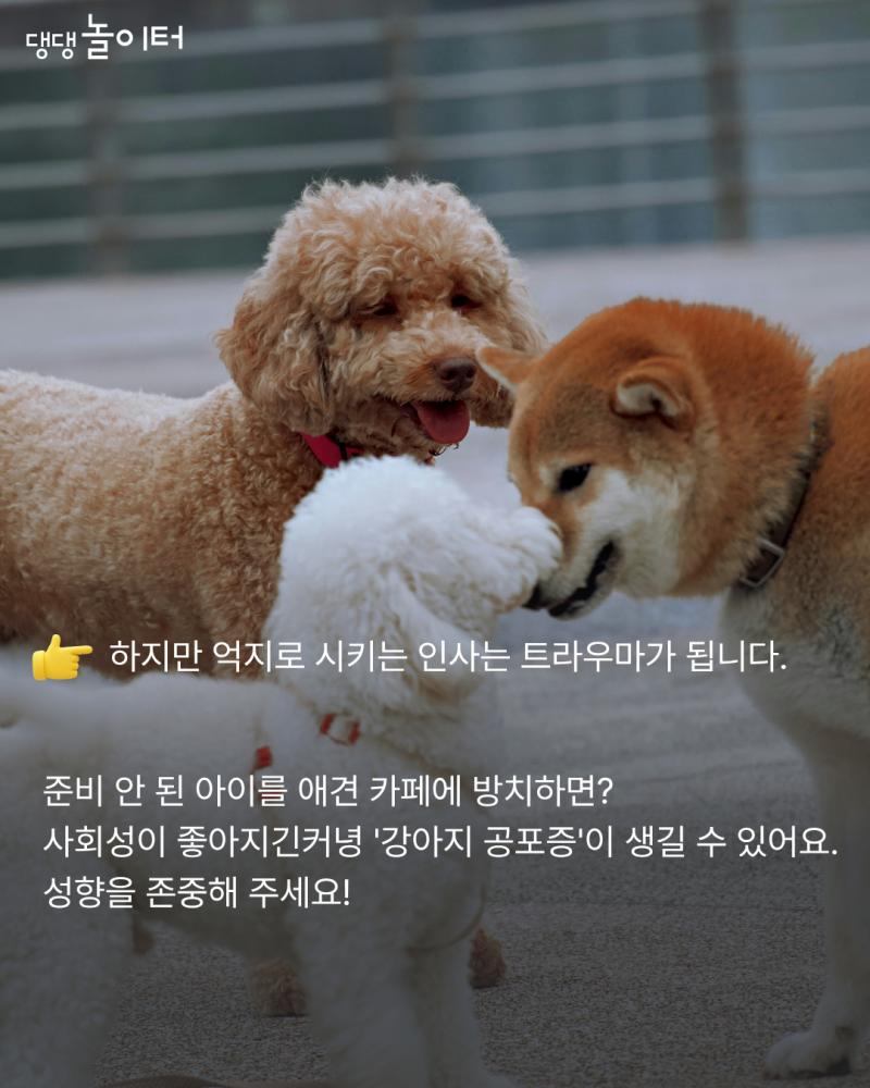 21f9339cdb84f3acebdd5940de5f9979.png.jpg
