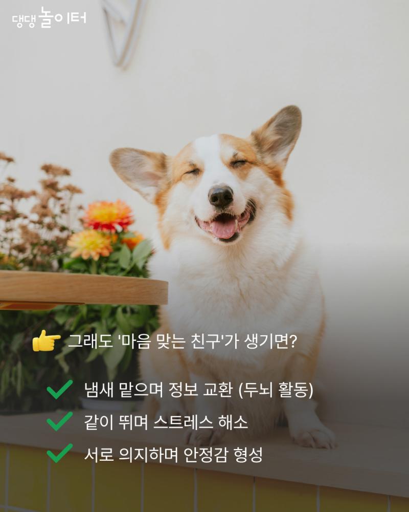 9a80e18e52b3c886a2e7561b3c3a6d24.png.jpg