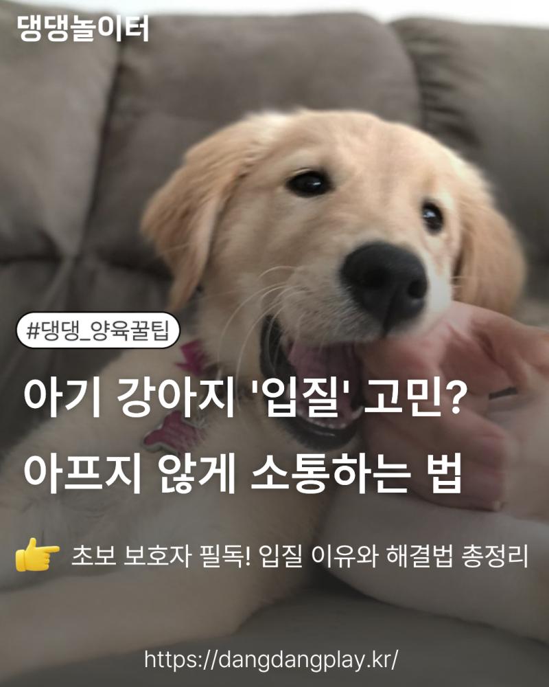 18911062234ff499df8e99f1c524c5fa (1).png.jpg