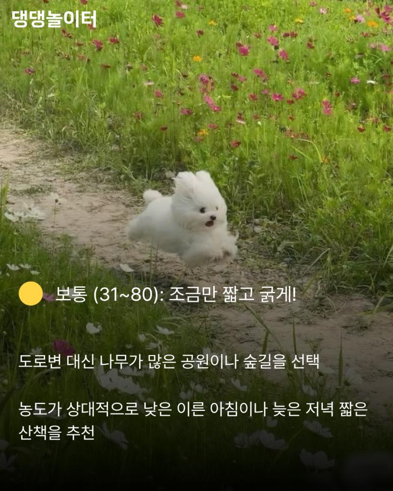 5d0b3736a36e05a11a4f3c12aff860bf.png.jpg