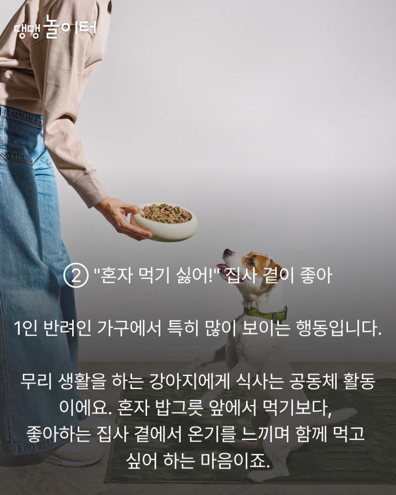 8ef1502fa1535666a9ece1f0e32b6d74.png.jpg