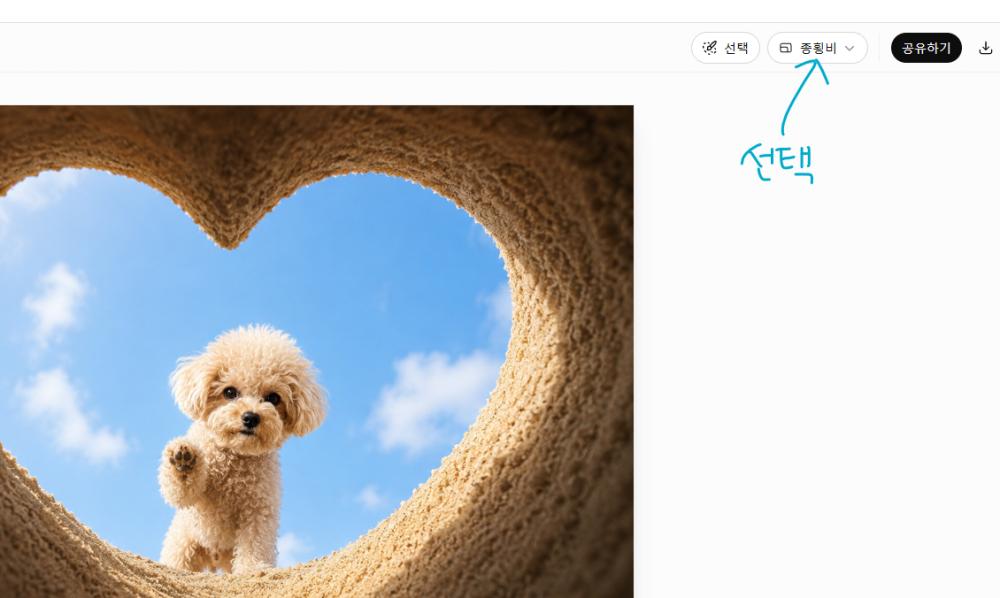 종횡비 선택.png.jpg