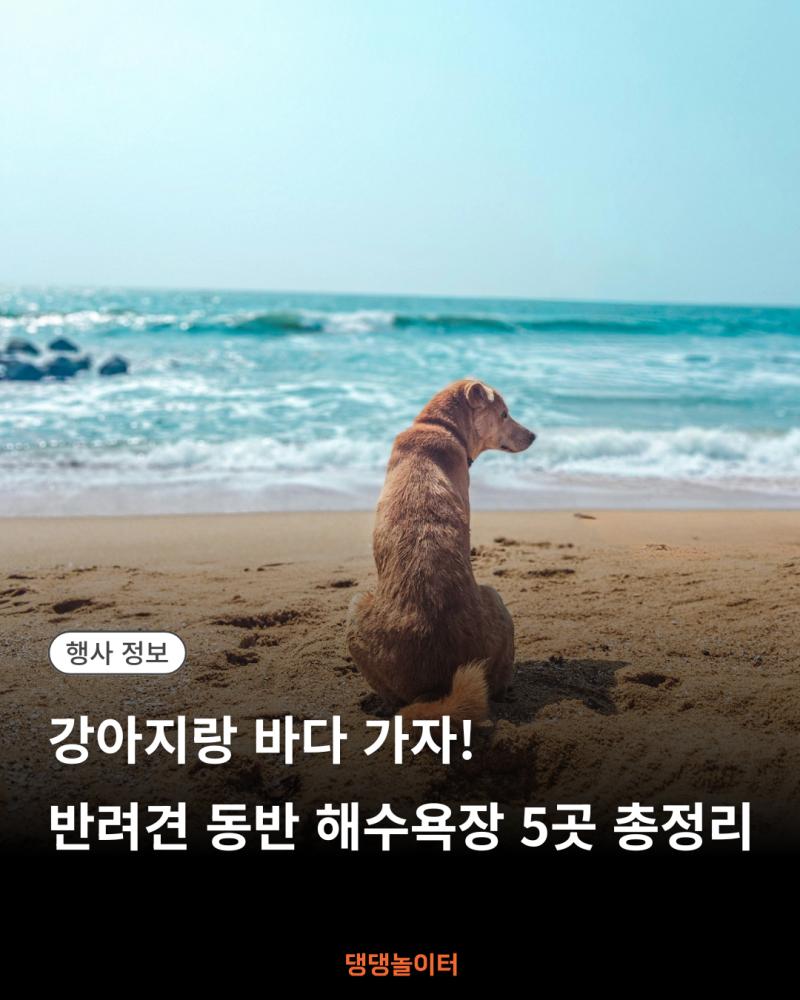 강아지랑 바다 .png.jpg