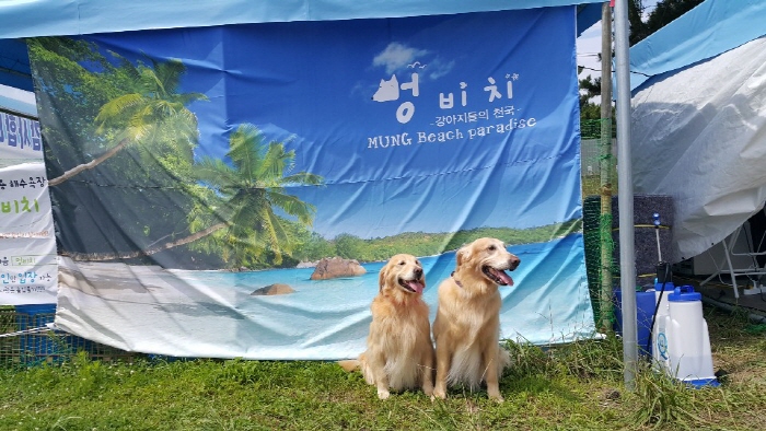 한국관광공사.jpg