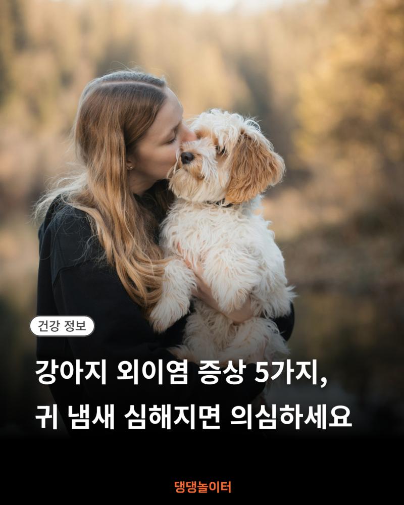 강아지 외이염 증상 5가지 썸네일.png.jpg