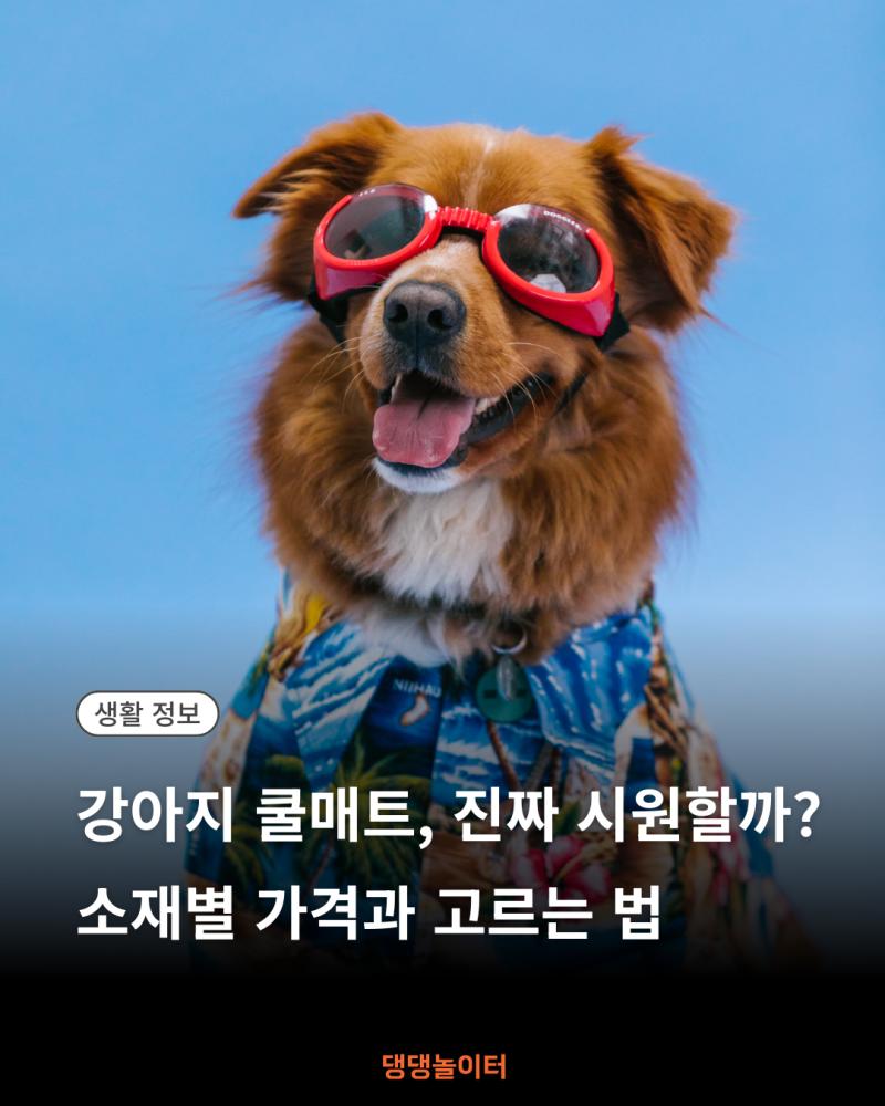 강아지 쿨매트, 진짜 시원할까 소재별 가격과 고르는 법 썸네일.png.jpg