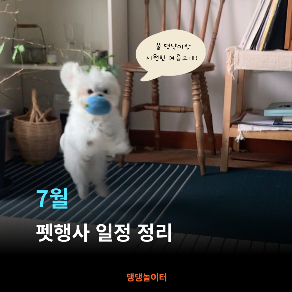 7월 펫행사 일정 정리 썸네일.png