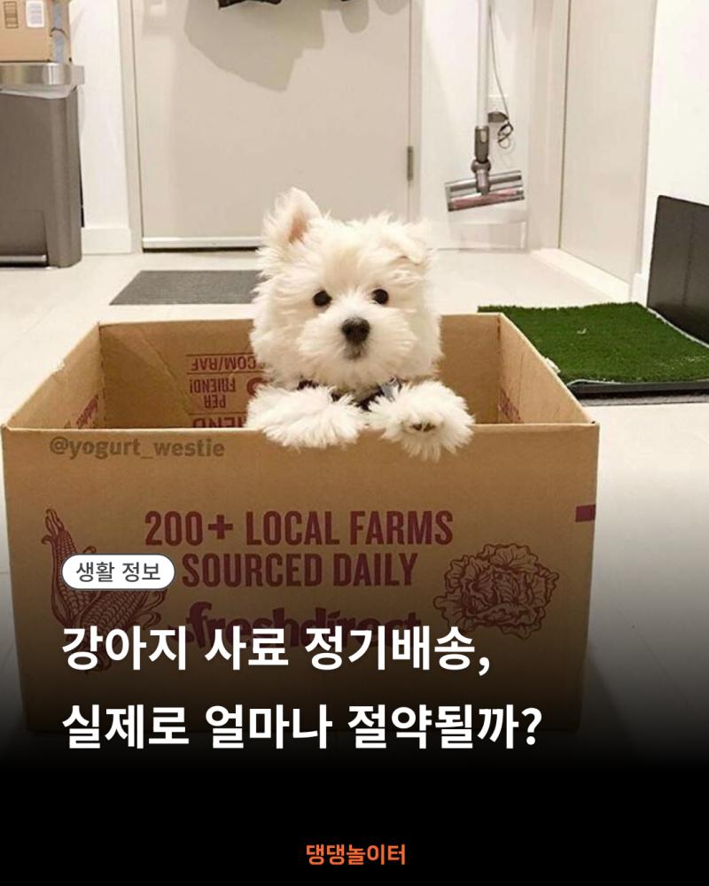 강아지 사료 정기배송, 실제로 얼마나 절약될까 썸네일.png.jpg