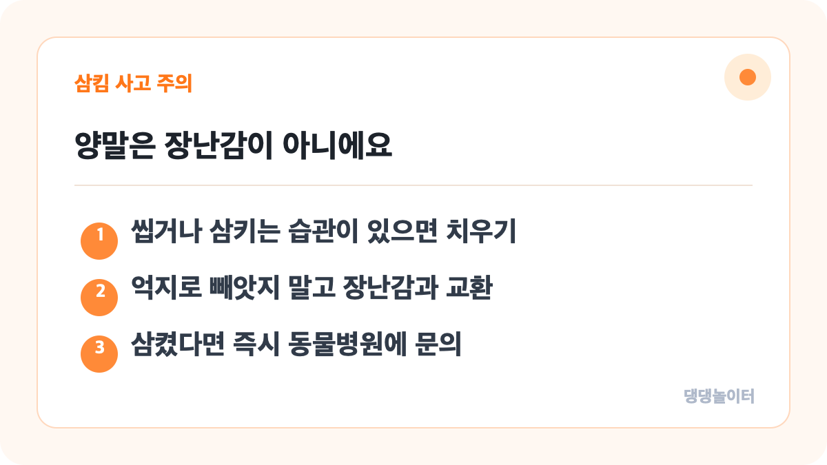 본문 핵심 내용을 요약한 댕댕놀이터 정보 카드