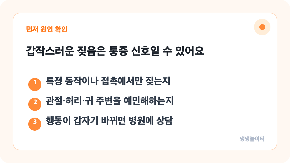 본문 핵심 내용을 요약한 댕댕놀이터 정보 카드